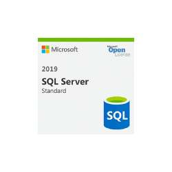 Microsoft SQL Server Standard 2019 (228-11477)