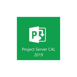 Microsoft Project Server 2019 CAL User (H21-03551)